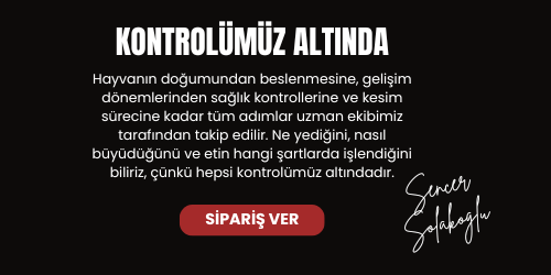 Kategori geçiş görseli